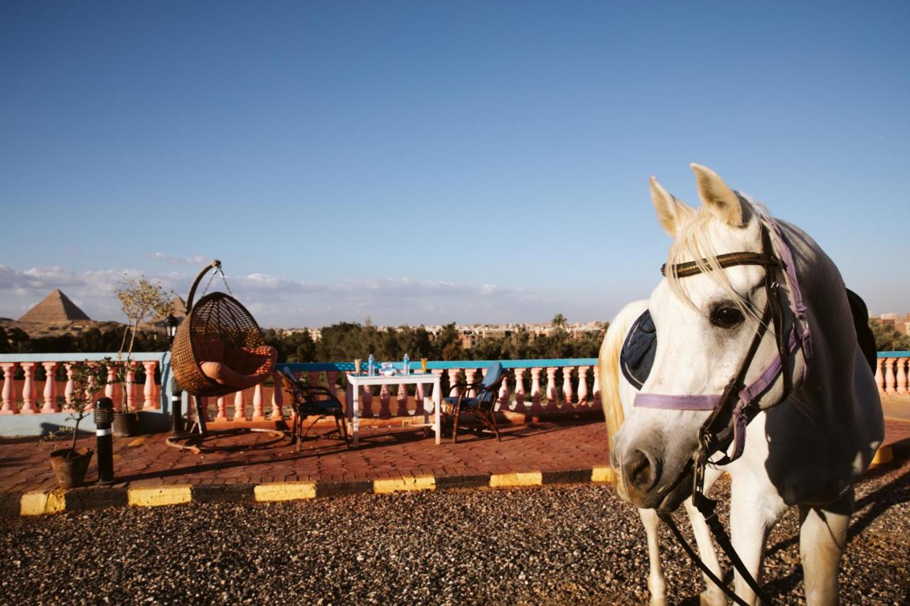 Heru Pyramids View Hotel 카이로 외부 사진